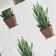 Afbeelding van Sansevieria - Cotton Lawn - Gebroken Wit