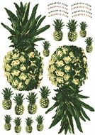 Picture of Pineapples for bag, keychains and garments - DTF A3 - for DIY
